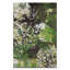 Autumn 1 Piece Painting on Canvas-12891031-24450099