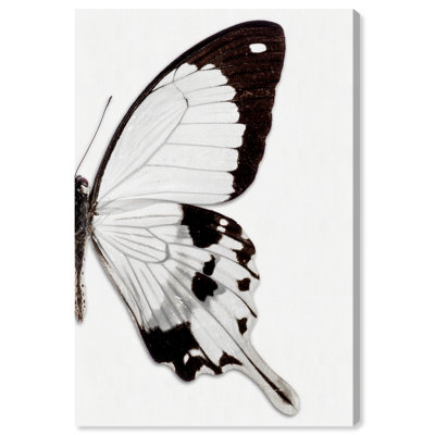 Monochrome Butterfly " Monochrome Butterfly II "