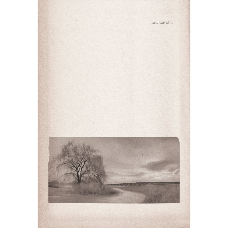 «Willow Lane» par Lori Deiter, Oui, Papier avec cadre photo en érable, H 12 po x l 8 po