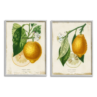 Branche de citron floral avec écriture française - ensemble de 2 impressions