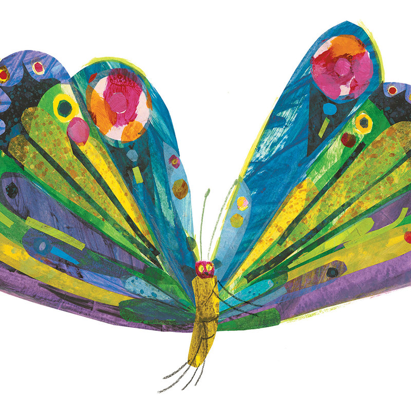 Beautiful Wings - Painting on Canvas, 76cm H x 114cm W