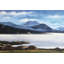 «Scottish Highlands», reproduction encadrée d'arbres de chambre à coucher-1998658766