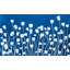 Spring Clover Panel 2 Print by Christine So