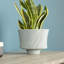 Selena Round Terracotta Planter-22948870