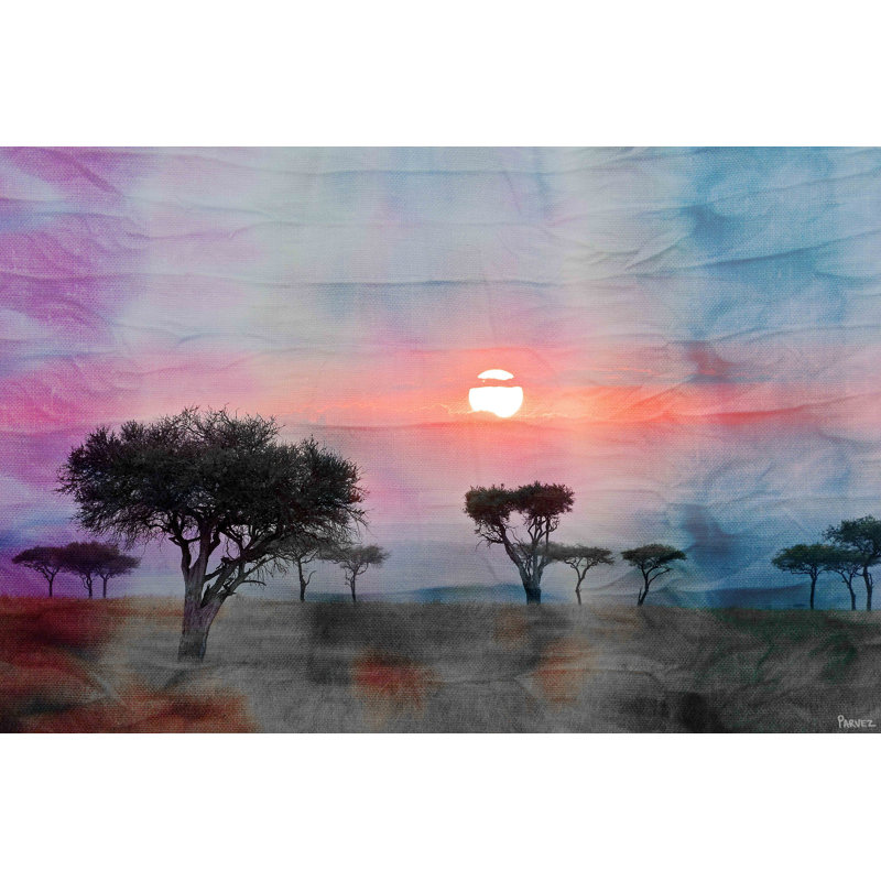 Parvez Taj - Wrapped Canvas Print, 51cm H x 76cm W