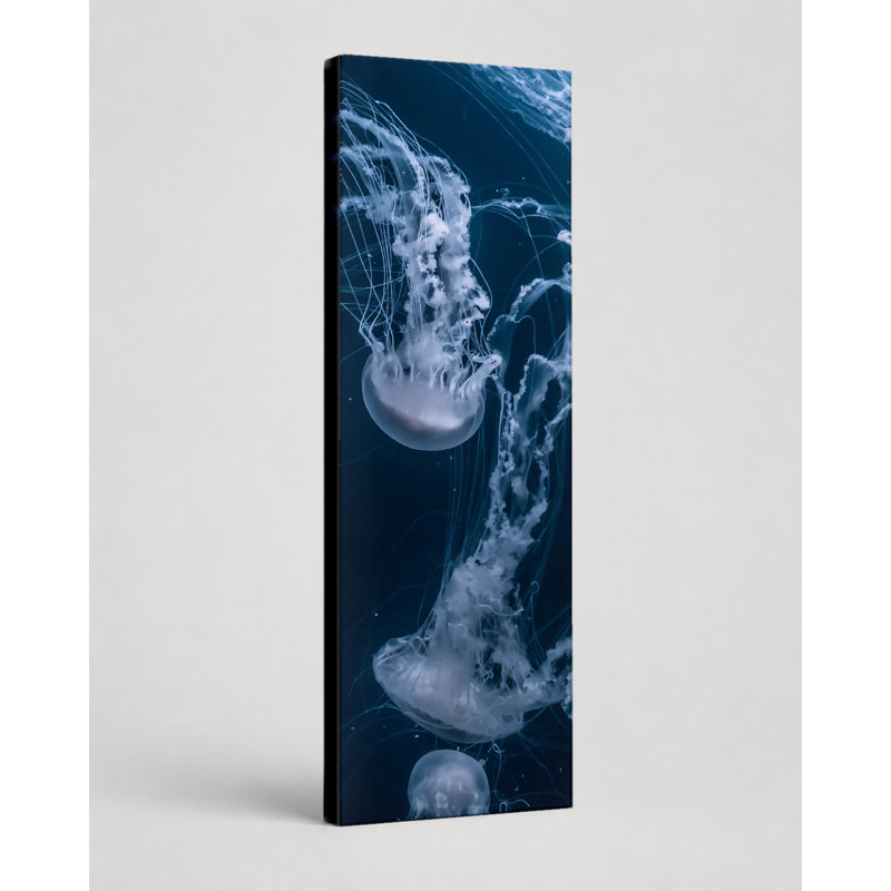 Méduse sur fond bleu - Méduse, 10" W x 30" H