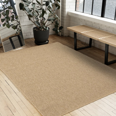 Hermosillo Solid Color Brown Indoor Area Rug