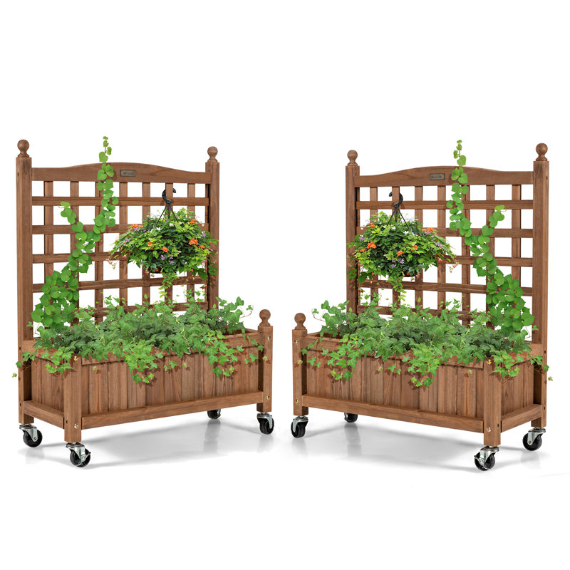 Brigetta Wood Planter Box with Trellis, 2