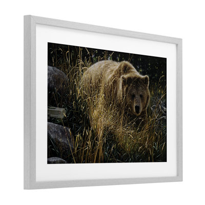Crossing Paths Grizzly Bear Framed Print Under Glass, design by Collin Bogle