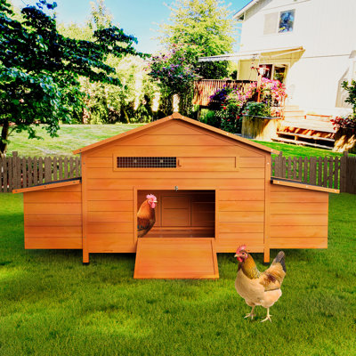 ECBCD-ddbeb Small Animal Cage