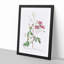 Noisett Rose in Pink by Pierre-Joseph Redoute - Framed Print-55576996-55577001