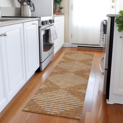 Machine Washable Indoor/Outdoor Chayden ACN1016 Rug