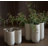 More Hanging Planter-65376505-65376506