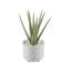 Feuillage artificiel en pot-384964418