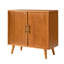 Accent Chest-1466572041
