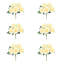 Peony Bunch - Set of 6-1496357771