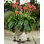 Mildred Weather Resistant Planter Feet