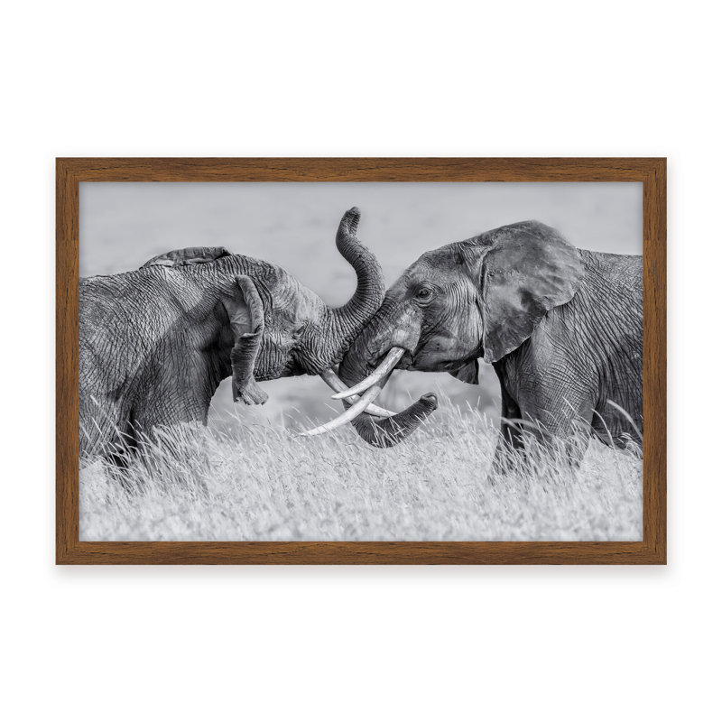Nature Inspired Elephant Tai Chi by  - Picture Frame Photograph on Paper, Framed Canvas, 16" H x 24" W x 2.375" D, White