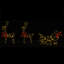 Lighted Reindeer-1907714461