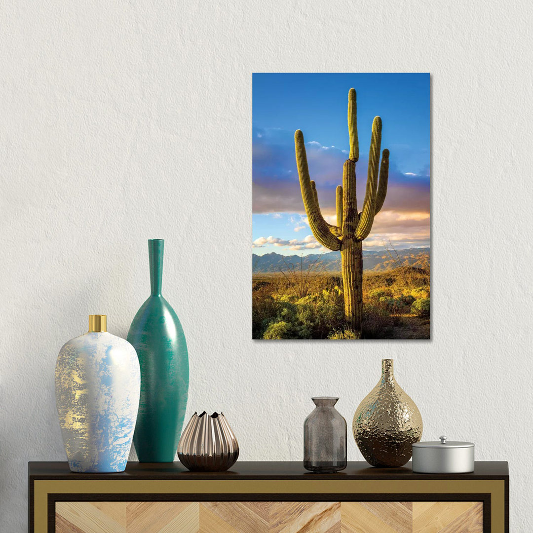 Sonnenuntergang Saguaro National Park Ost III von Susanne Kremer - Galerie-verpackte Leinwand Giclée auf Leinwand