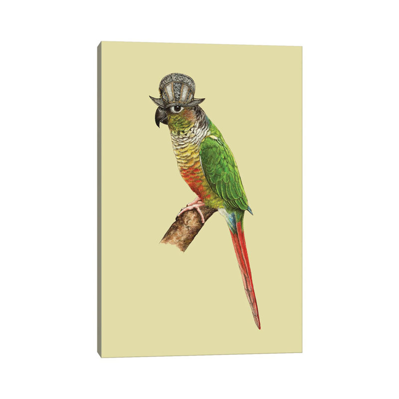 Green-Cheeked Parakeet by Mikhail Vedernikov - Wrapped Canvas Gallery-Wrapped Canvas Giclée, 30.48cm H x 20.32cm W