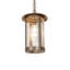 12" Wide Fulton Prime Pendant