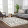 Adeen Shaggy Performance Tasseled Beige/Black Area Rug
