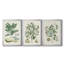 Buchoz Tropicals IV - Toile tendue avec châssis sur mesure - 3 pièces-789506065-789506077