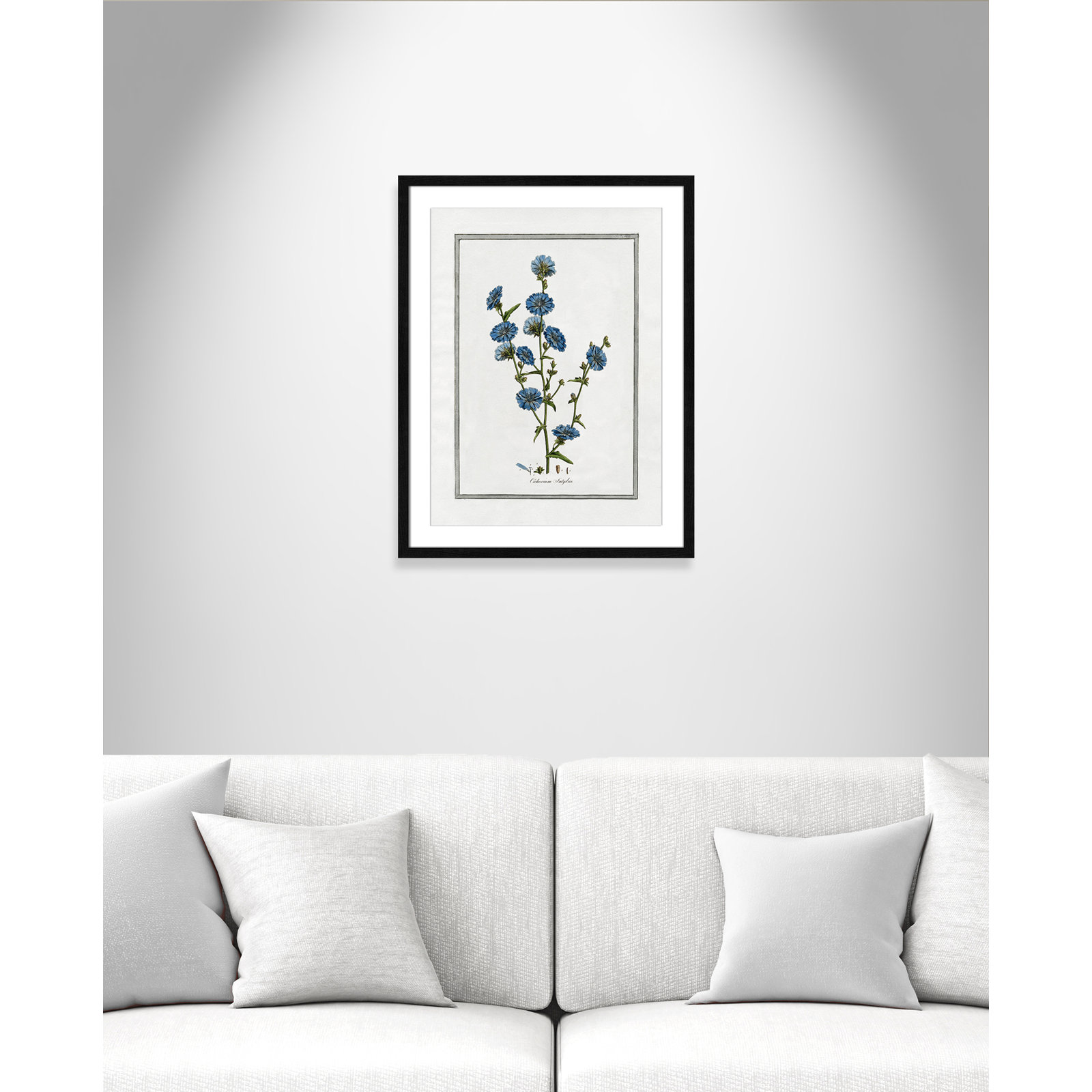 Colombe "Soft Botanical I" Print, Black Framed, 17" W x 23" H