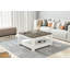 Animesh coffee table