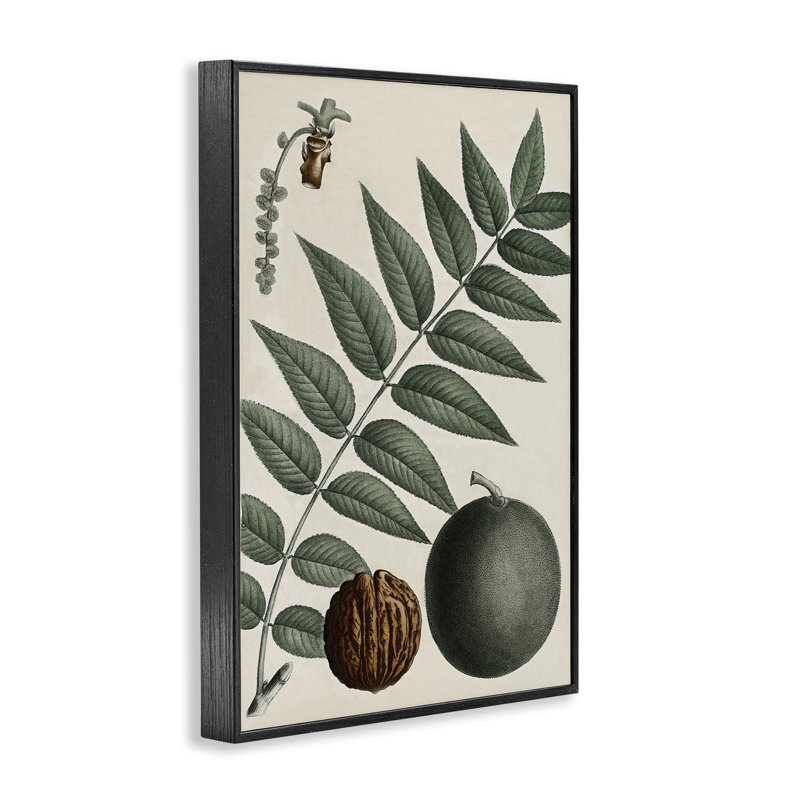 Giclée sur bois de noyer et de feuilles rétro par Graffi *ee Studios, H 18 po x l 12 po, Giclée encadrée noir minuit