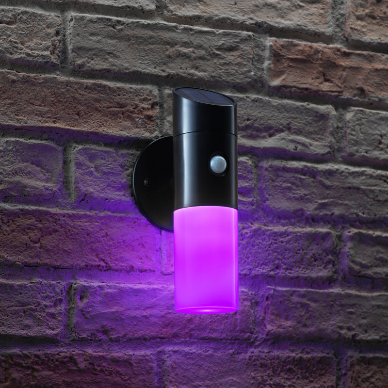 Allise Black 23.5cm H Solar Powered Integrated LED Outdoor Wall Lantern