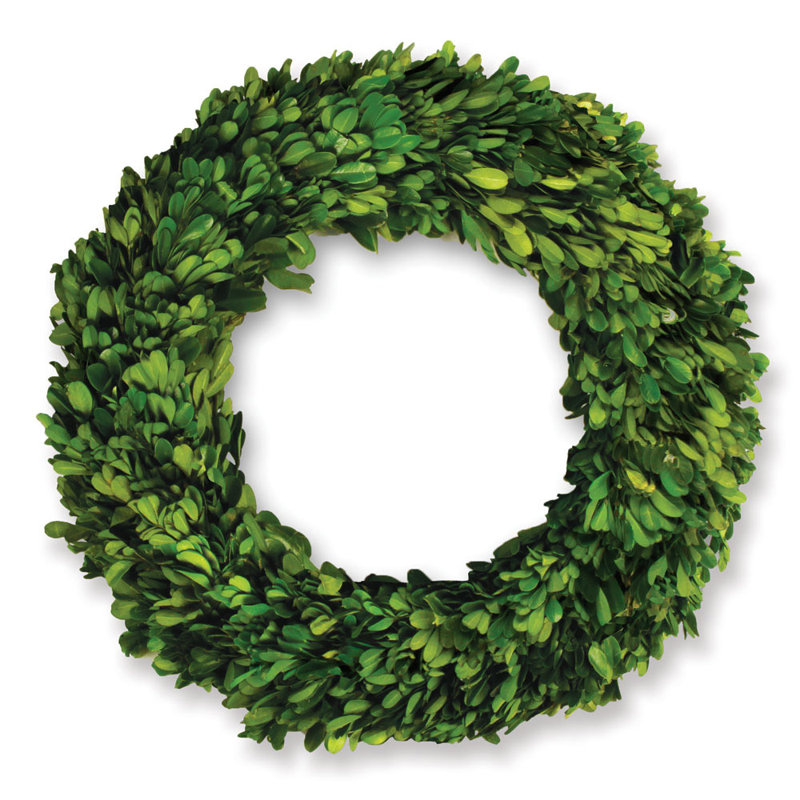 Boxwood Wreath, 12" H x 12" W x 2.5" D
