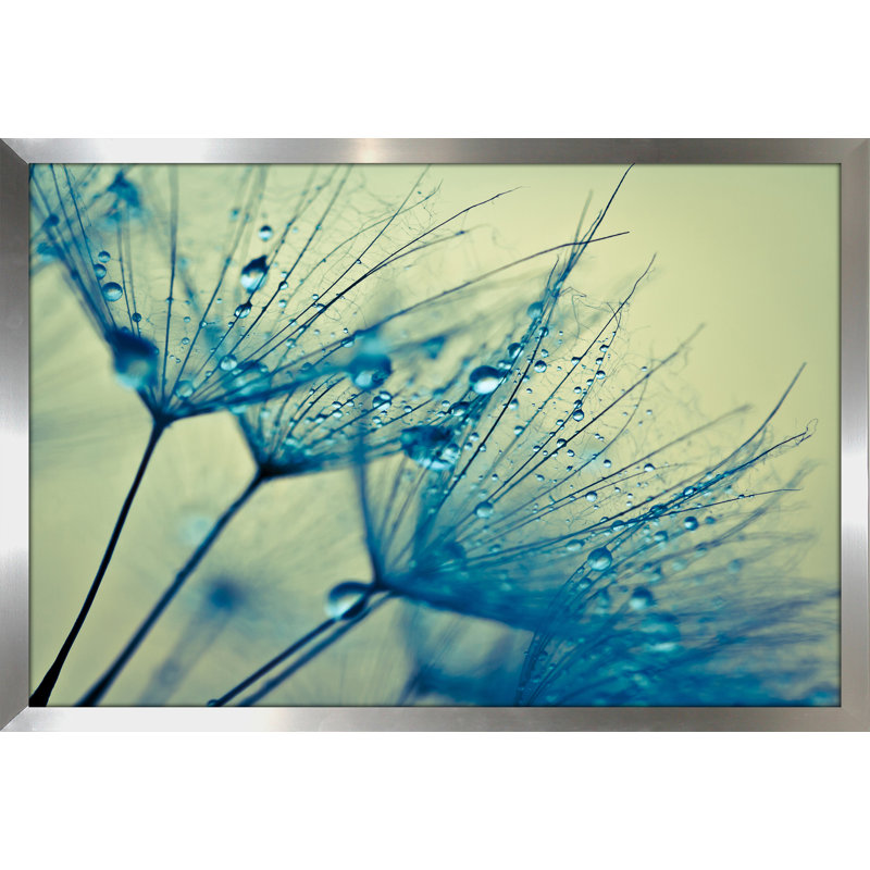 « fleur water gouttelettes 3 », reproduction de photo encadrée, H 27,5 po x l 39,5 po x P 0,75 po