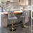 Kennasyn Swivel Upholstered Adjustable Height Counter Stool-481769140
