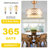 18" Gold Caged Ceiling Fan with Lights and Remote Control