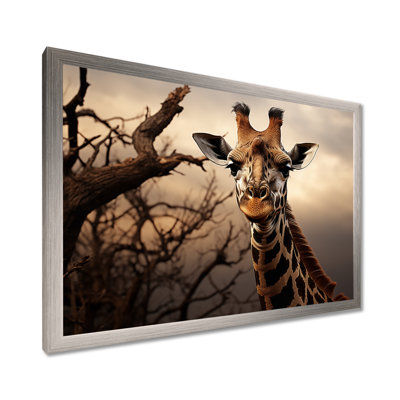 Africa Giraffes Towering Presence - African Art Framed Canvas Print Wall Art