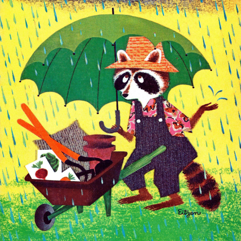 «Raccoon with Umbrella», reproduction sur toile tendue, H 24 po x l 24 po