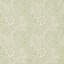 Marigold Wallpaper-50889578