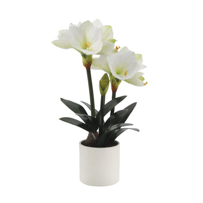 24 in. White Amaryllis Faux Floral Arrangement in White Pot - Lifelike Holiday Decor