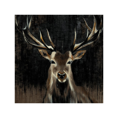 Young Buck by Liz Jardine - Wrapped Canvas Print