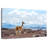 Vicuna-108842597