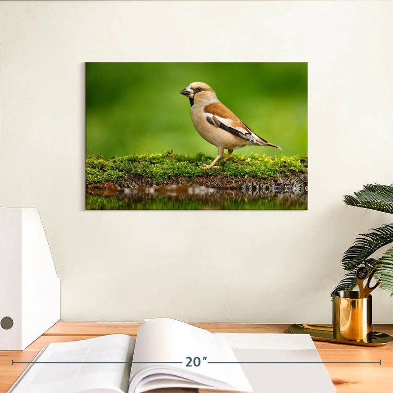 Finch, 8" H x 12" W
