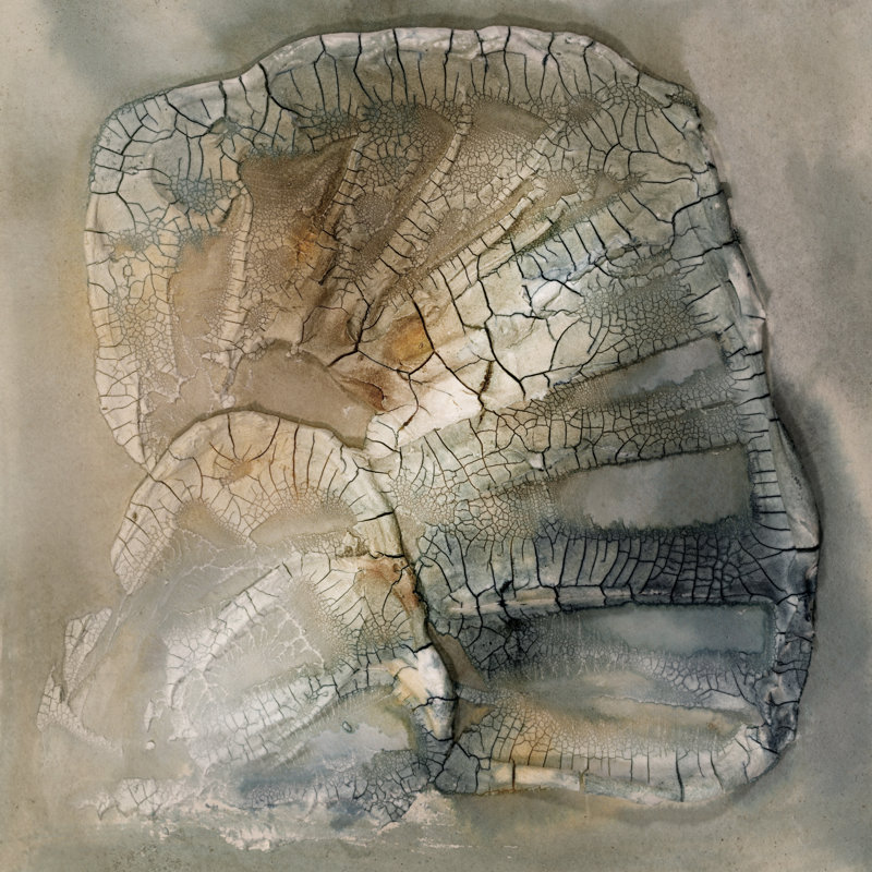 Taraneh Tangled Gray by Scherrer Finch - Wrapped Canvas Print, 30 cm H x 30 cm W
