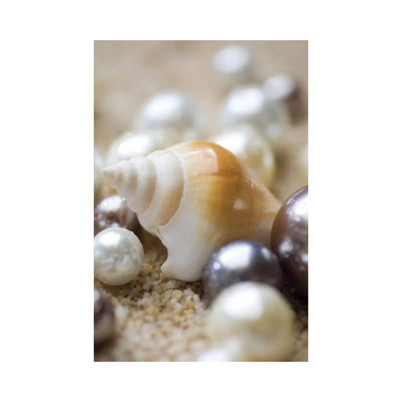 Sea Jewels I 1 Piece Wrapped Canvas Wall Art, 20.32 cm H x 30.48 cm W