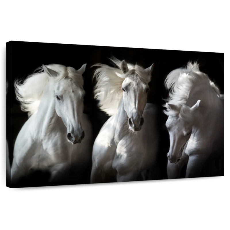 Brampt Three White Horses, 34" H x 51" W
