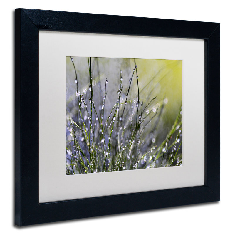 « spring matinée » par "beata czyzowska young, reproduction encadrée sur toile, H 11 po x l 14 po x P 0,5 po, Noir