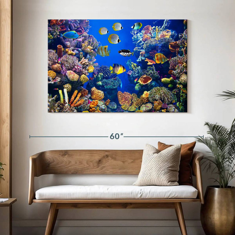 Teeming underwater life Aletra, H 32 po x l 48 po