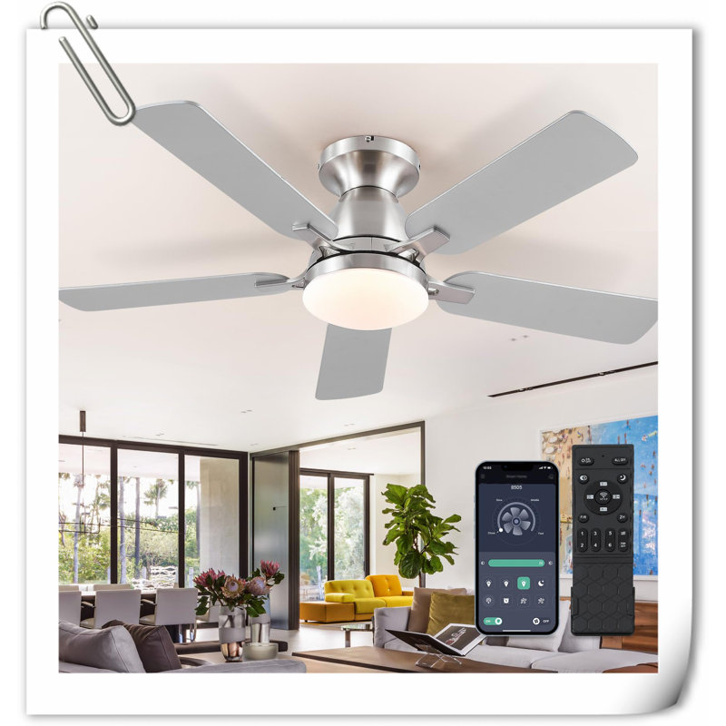 Museau Ceiling Fan with LED Lights, Silver