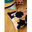 Lance Striped Rectangular Cushion